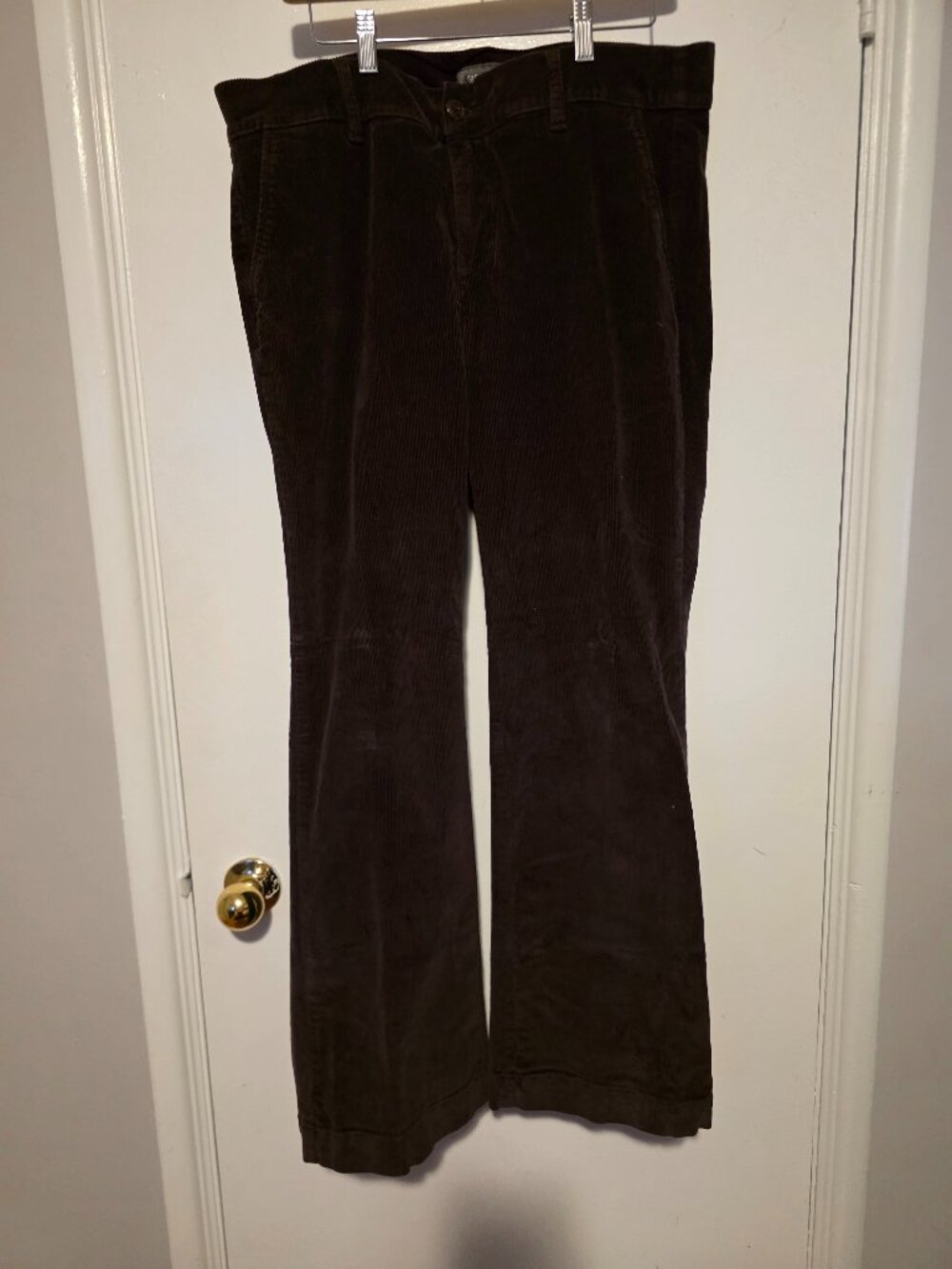 Torrid Brown Cords